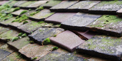 Burrington roof repair costs